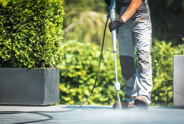 Best Animal Enclosure Cleaning  in Bear Creek, AK