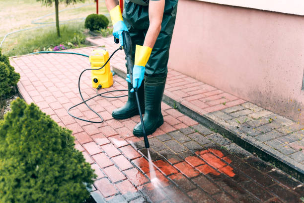 Best Sidewalk and Walkway Cleaning  in Bear Creek, AK